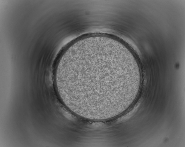 X0000100400974200807032009