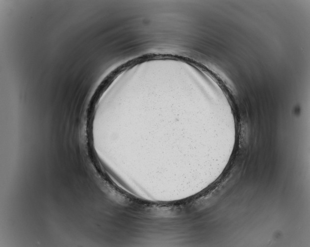 X0000100400976200807032009