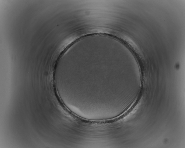 X0000100400977200807032009