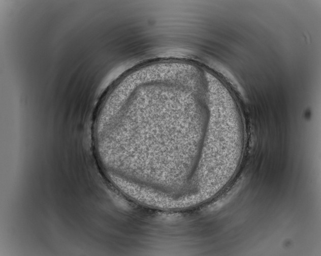 X0000100400978200807032009