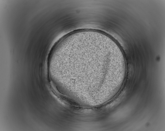 X0000100400982200807032009