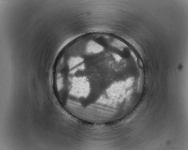 X0000100400983200807032009