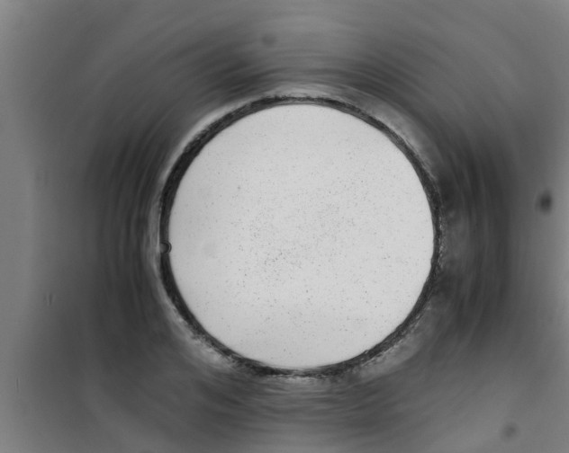 X0000100400984200807032009