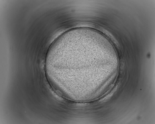 X0000100400985200807032009