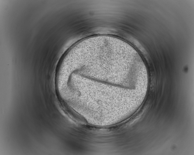 X0000100400986200807032009