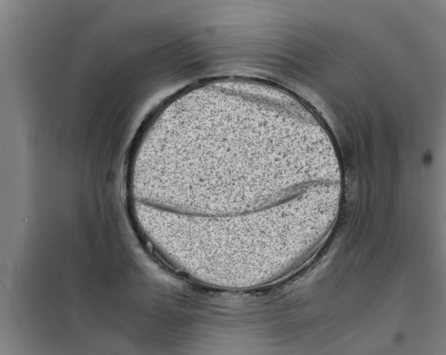 X0000100400987200807032009