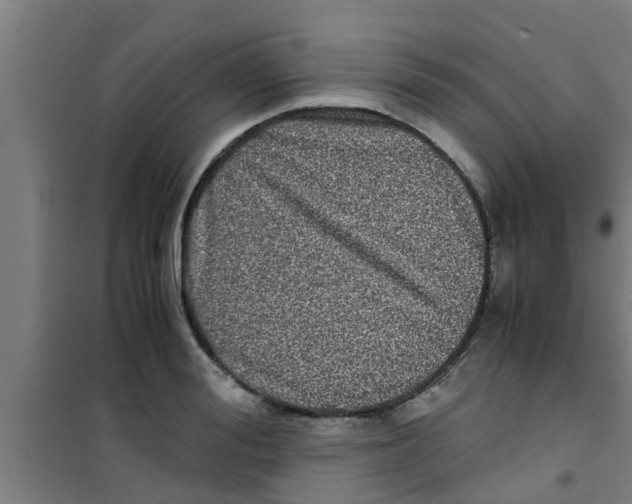 X0000100400988200807032009