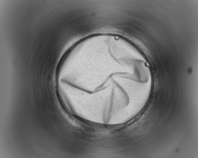 X0000100400990200807032009