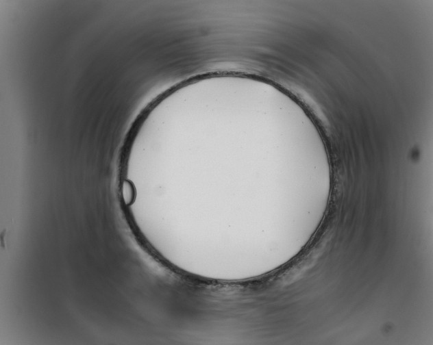 X0000100400991200807032009