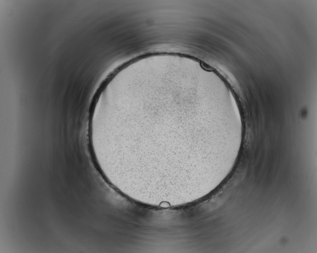 X0000100400992200807032009