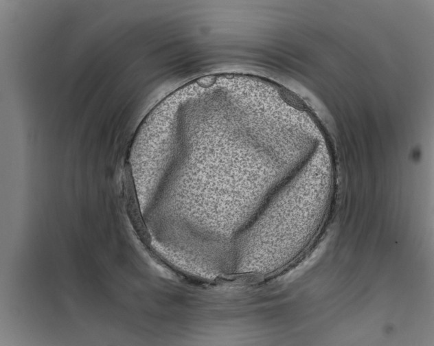 X0000100400993200807032009