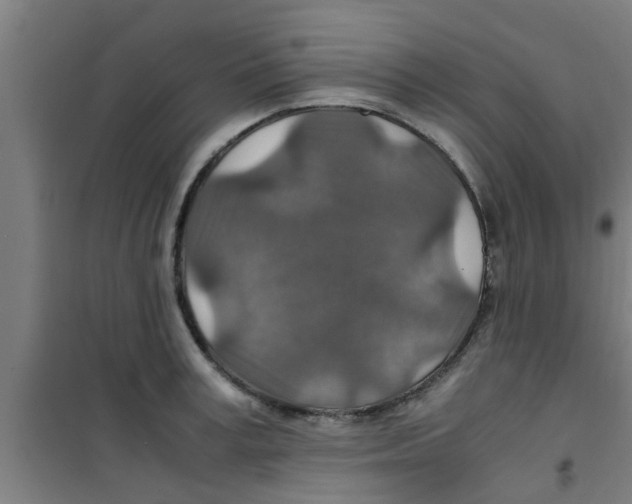 X0000100400995200807032009