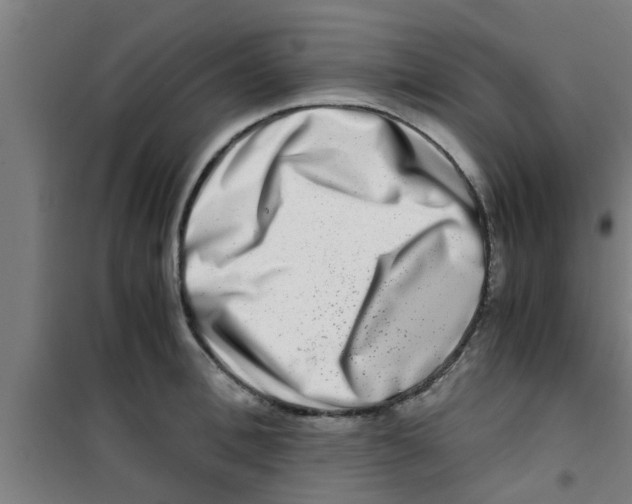 X0000100400996200807032009