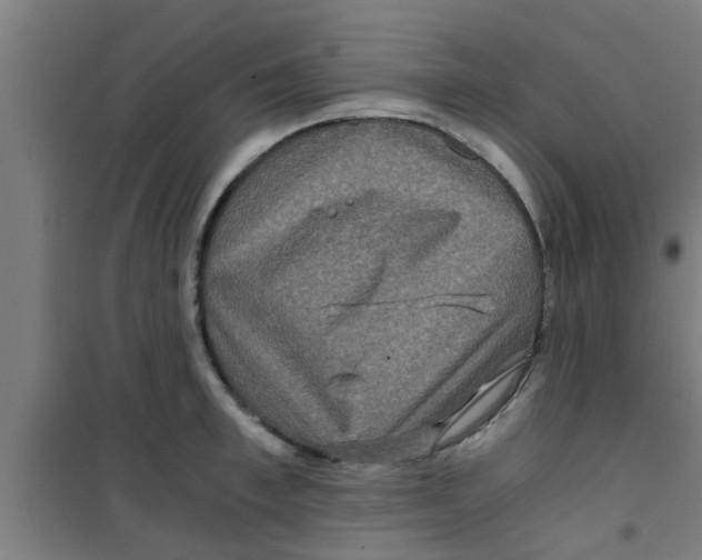 X0000100400997200807032009