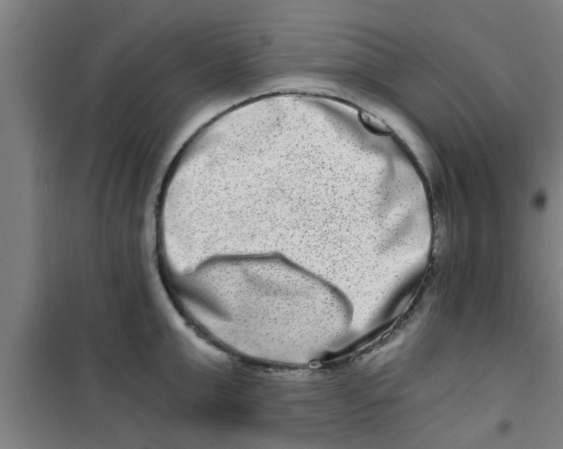 X0000100400999200807032009