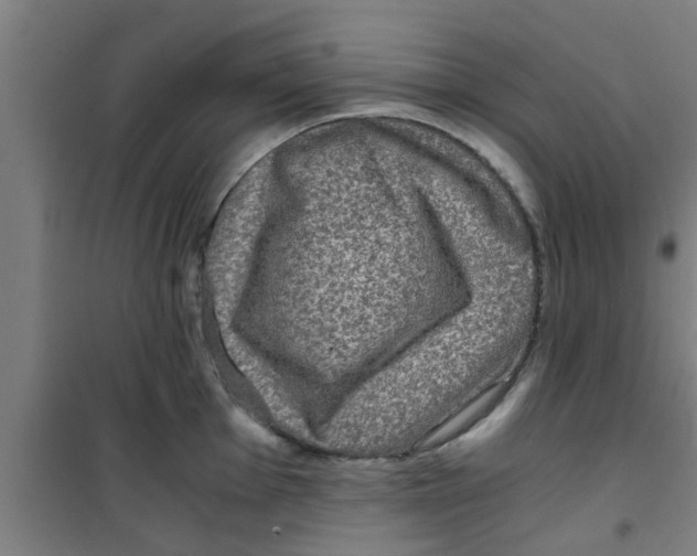 X0000100401001200807032009