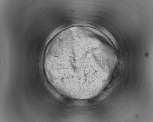 X0000100401002200807032009