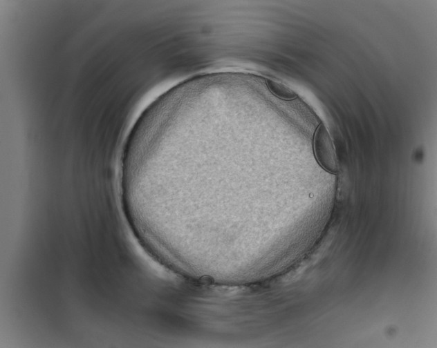 X0000100401003200807032009