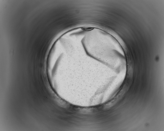 X0000100401004200807032009