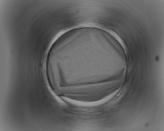 X0000100401005200807032009