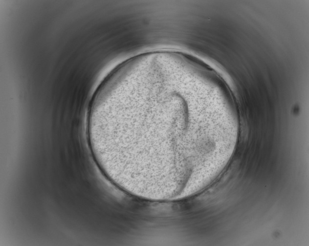 X0000100401006200807032009