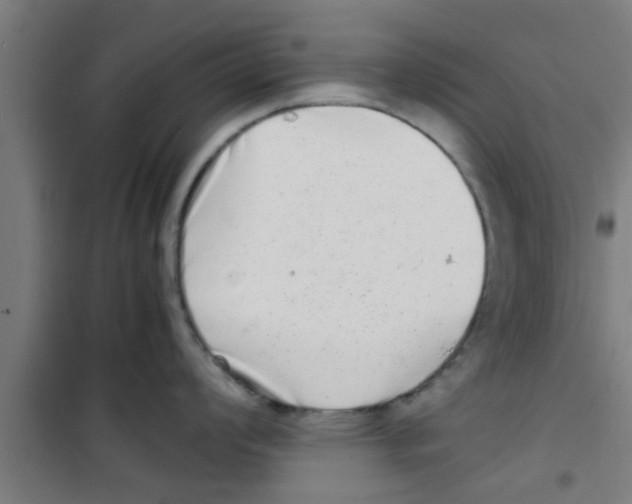 X0000100401008200807032009