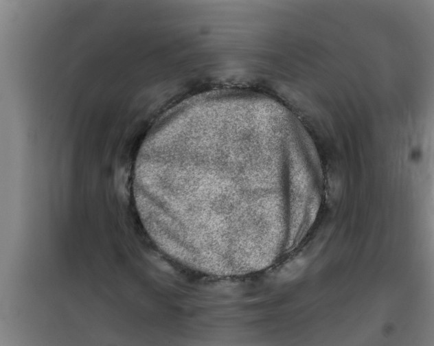 X0000100401010200807032008