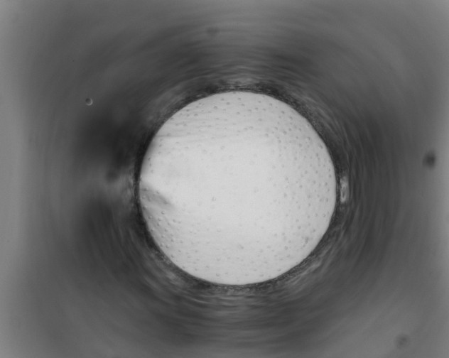 X0000100401011200807032008