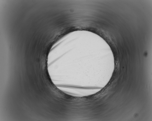 X0000100401012200807032008