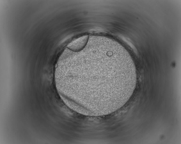 X0000100401015200807032008