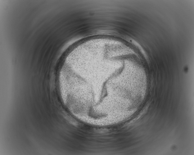 X0000100401019200807032008
