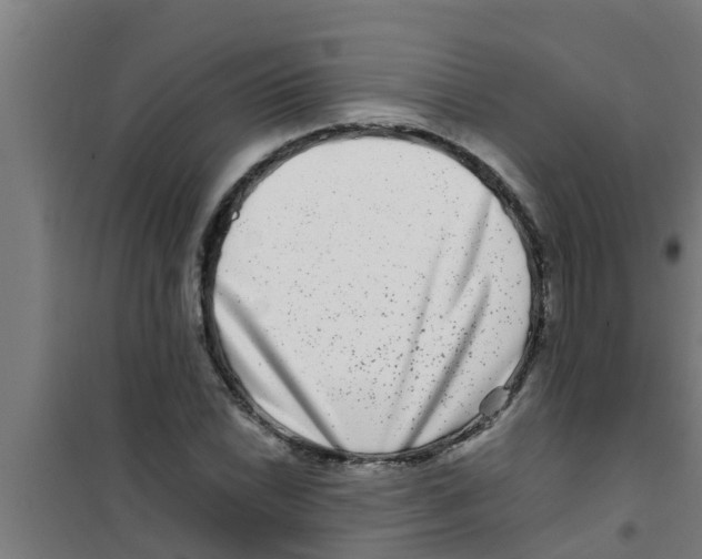 X0000100401022200807032008