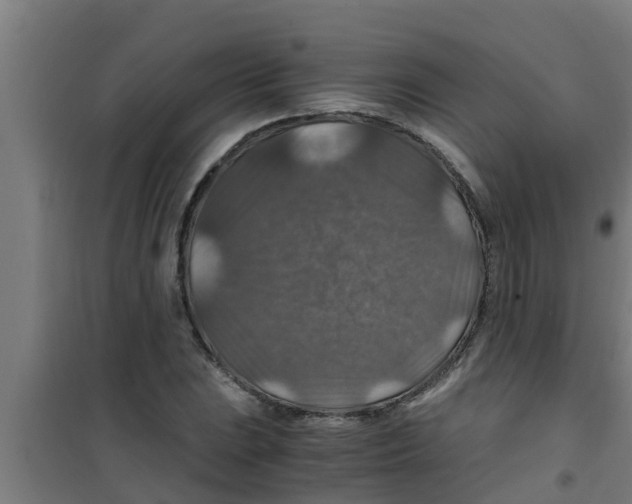 X0000100401023200807032008