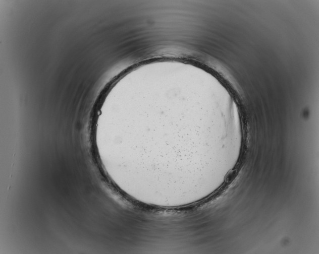 X0000100401026200807032008