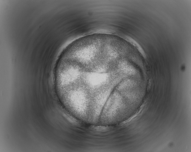 X0000100401027200807032008