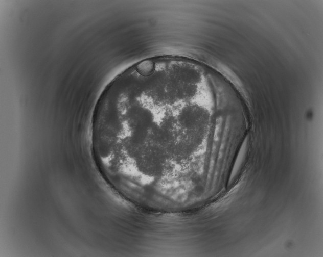 X0000100401028200807032008