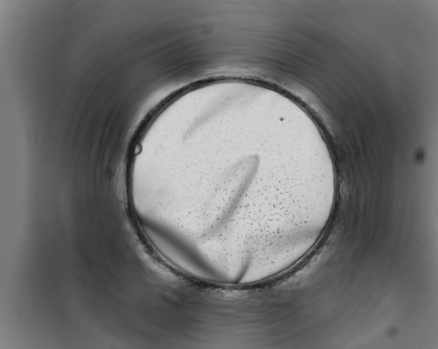 X0000100401030200807032008