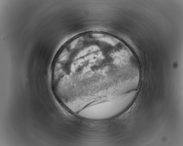 X0000100401032200807032008