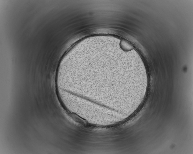 X0000100401033200807032008