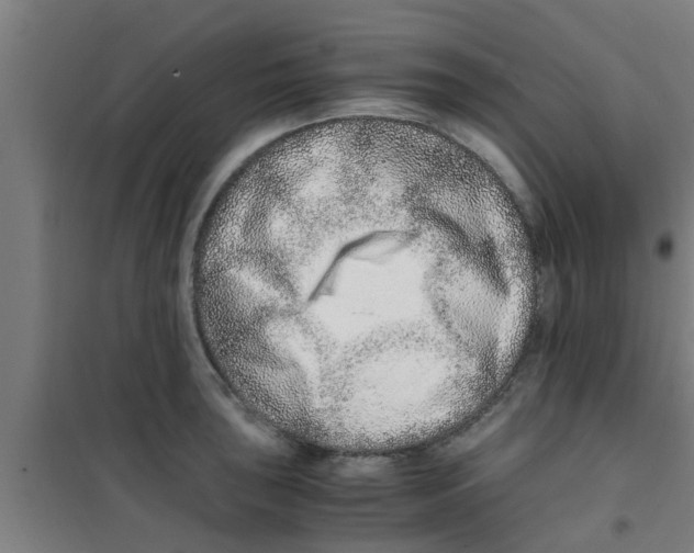 X0000100401043200807032008