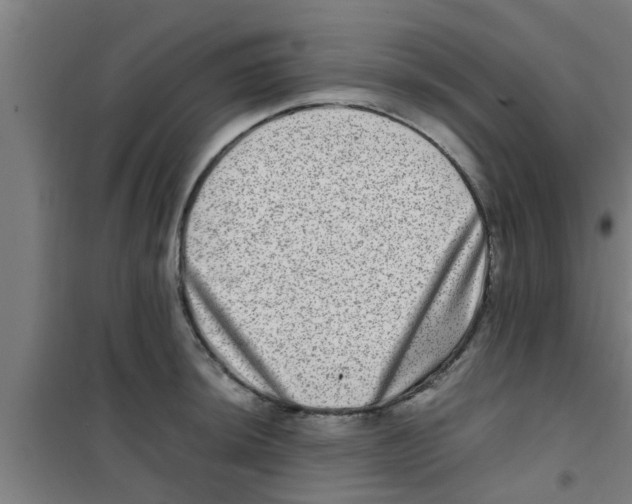 X0000100401044200807032008