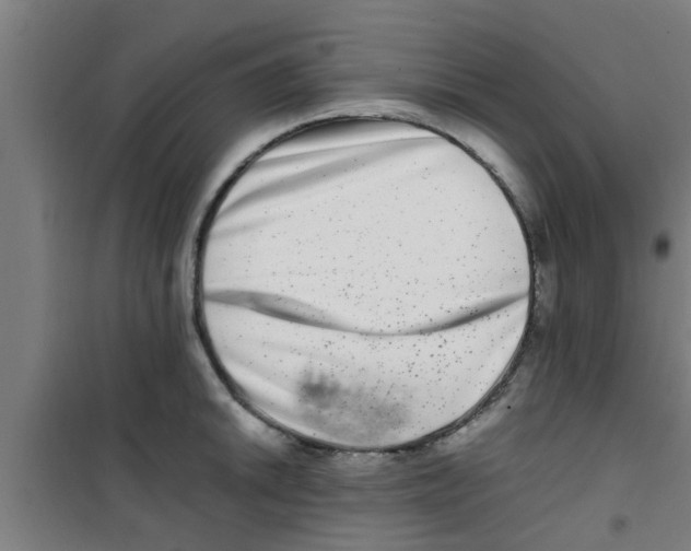 X0000100401046200807032008