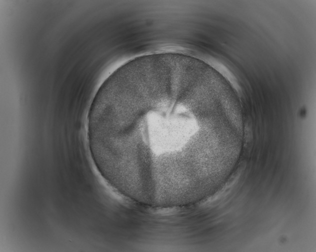 X0000100401047200807032009