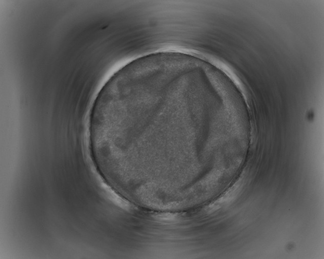 X0000100401048200807032009