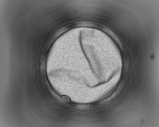 X0000100401049200807032009