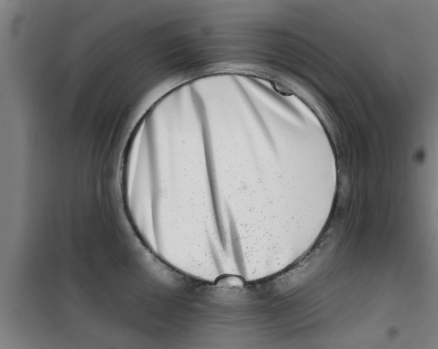 X0000100401050200807032009