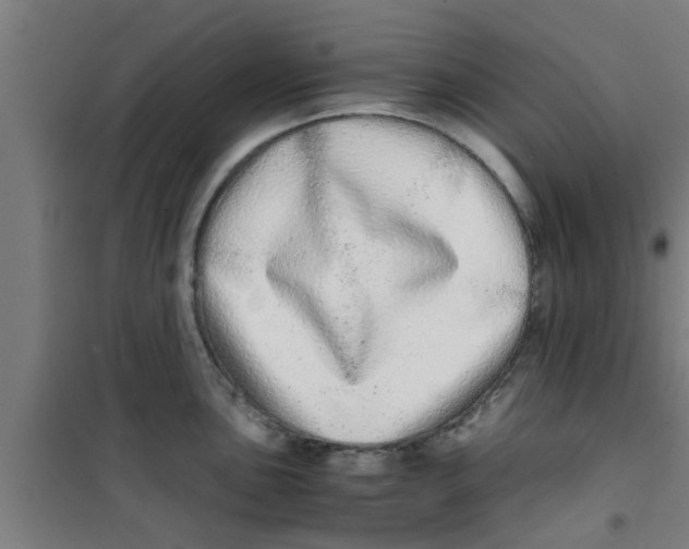 X0000100401051200807032009