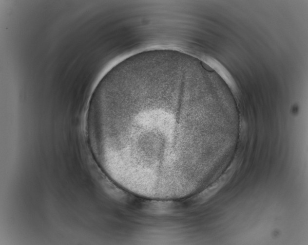 X0000100401052200807032009