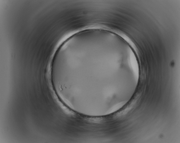 X0000100401053200807032009