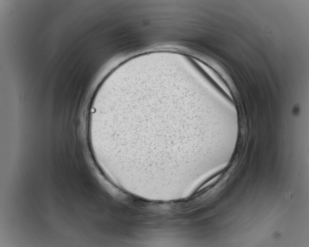 X0000100401054200807032009